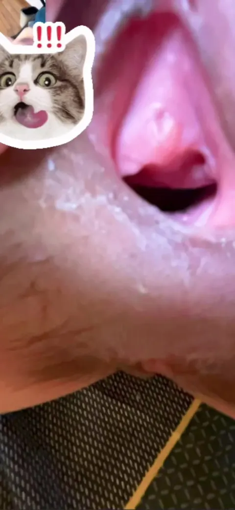 Hành trình yêu xa với em người yêu mình dây lồn múp